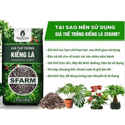 Giá Thể Trồng Kiểng Lá Cao Cấp (Sfarm 17L)- Giá Thể Trồng Cây Monstera