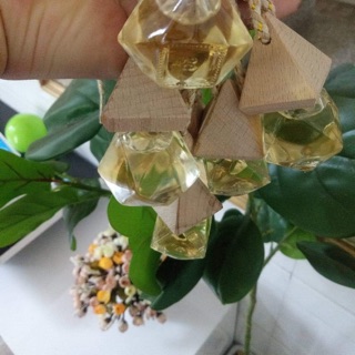 Con treo tinh dầu Bưởi