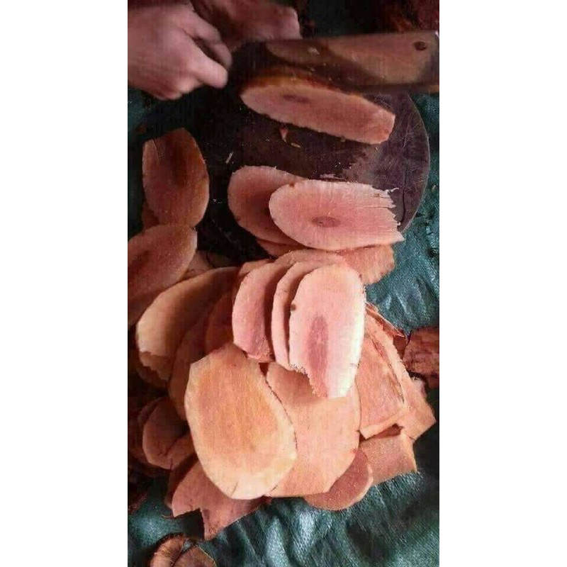 1kg củ tầm gửi nghiến tươi