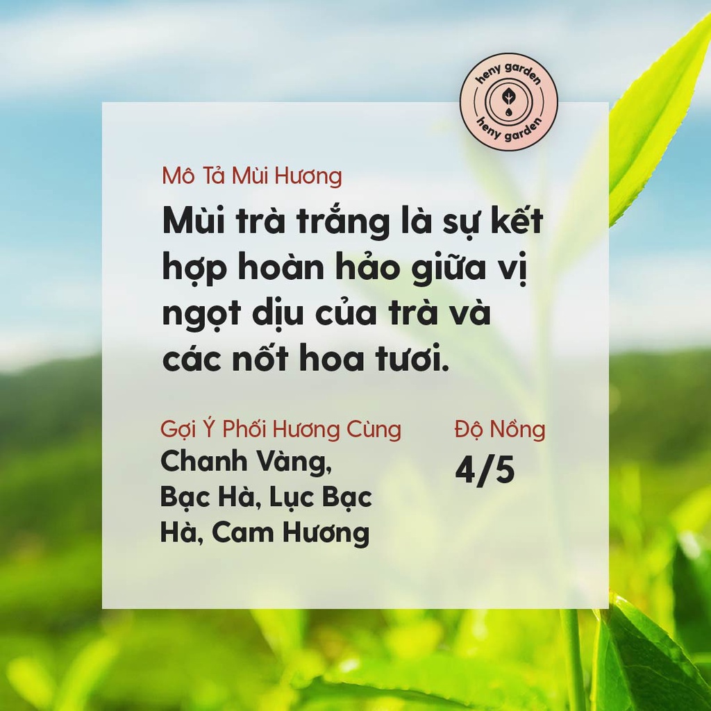 Tinh Dầu Trà Trắng Organic Nguyên Chất Đậm Đặc Xông Thơm Phòng, Làm Nến Thơm Thiên Nhiên, Giúp Dễ Ngủ Heny Garden 10mL