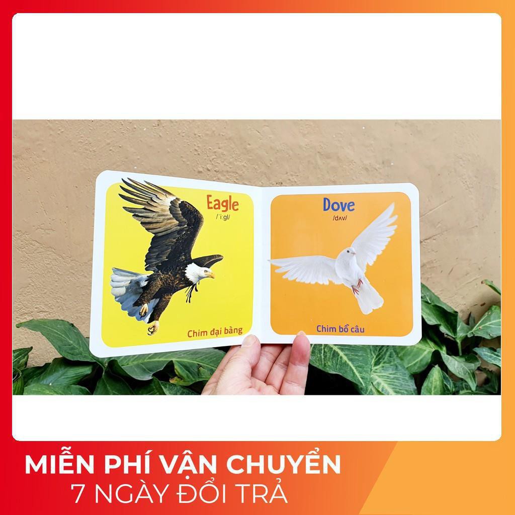 BỘ THẺ HỌC THÔNG MINH BÌA CỨNG, DÀY, BỀN Giúp bé nhận biết TGXQ gồm 10 CHỦ ĐỀ HẤP DẪN
