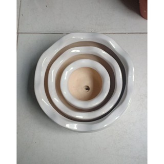 Bộ 3 chậu sứ trắng miệng bèo