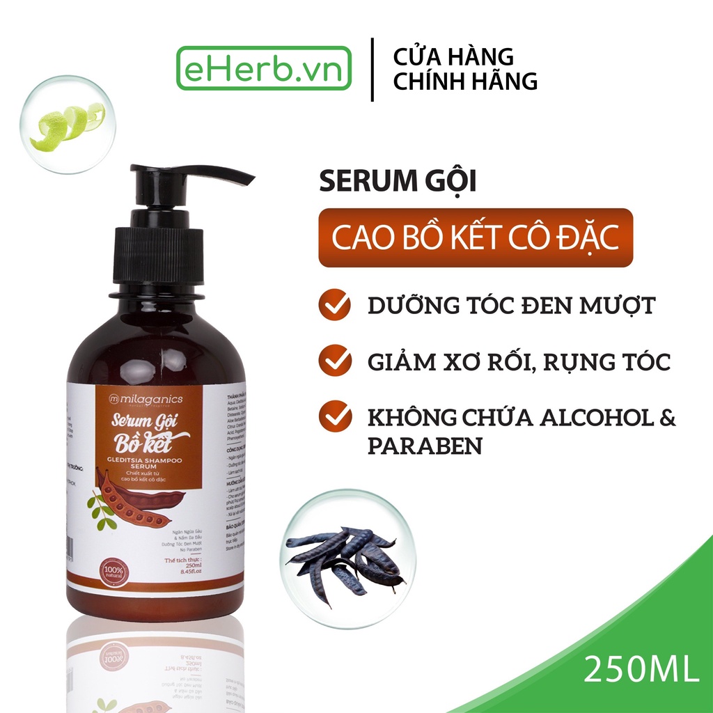 Dầu gội bồ kết cô đặc, dầu gội thảo dược sạch gàu, nấm ngứa, ngừa rụng tóc, mọc tóc MILAGANICS 250ml (chai)