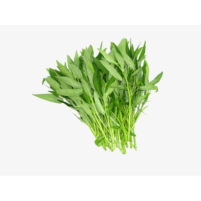 30 gr hạt giống rau muống KHUYẾN MẠI SHOP MỚI HẠ GIÁ SỈ