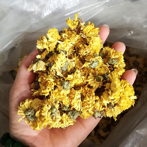 Trà hoa cúc vàng sấy lạnh - Trà hoàng cúc gói 20 gram