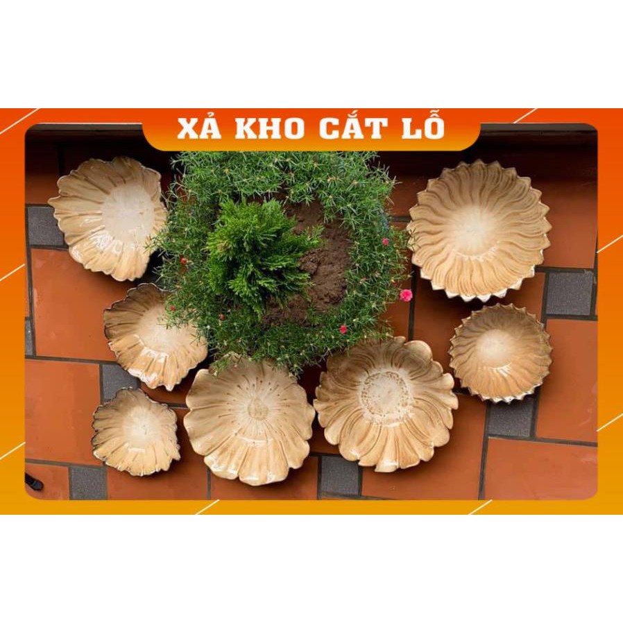 MUA BÁT PHONG THỦY GỐM SỨ ĐỂ SEN BÀY NƯỚC ĐẸP!