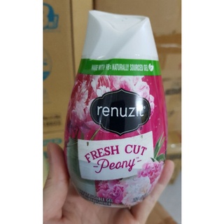 Sáp thơm Renuzit  Nhật Bản