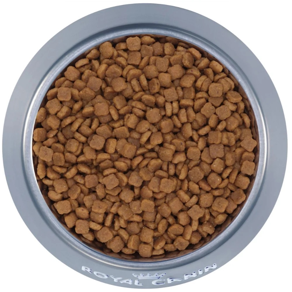 Thức ăn hạt Royal Canin Mother Baby Cat cho mèo mẹ và con / Pate lon 195g
