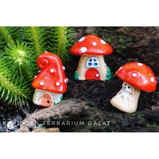[Hình thật] NHÀ NẤM ĐỎ/giao mẫu ngẫu nhiên - Phụ kiện Terrarium