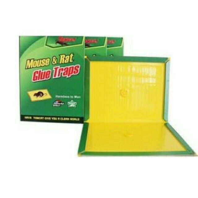 Bẫy keo dính chuột