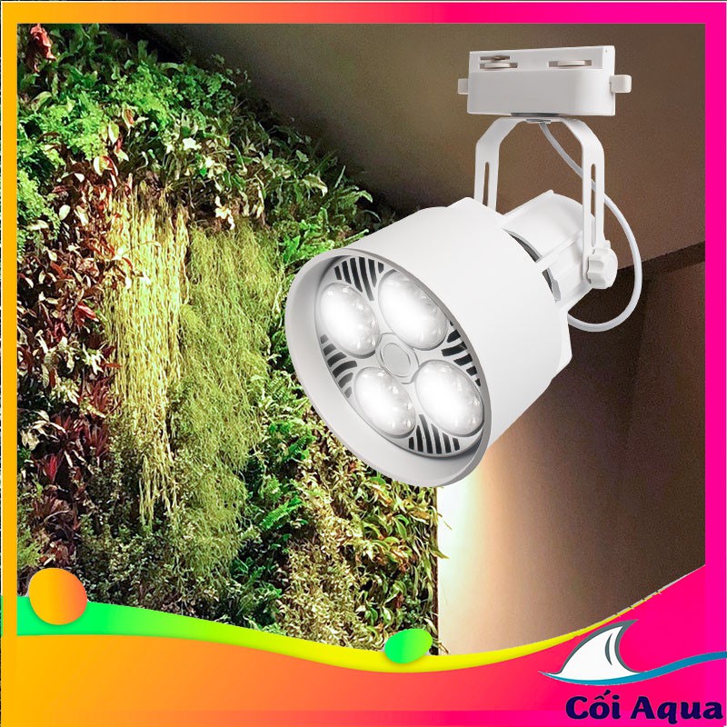 Đèn thủy sinh, bán cạn ánh sáng trắng 5000- 6500 Kelvin