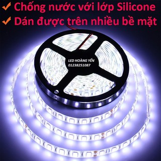 LED DÂY 5050 12V 5M