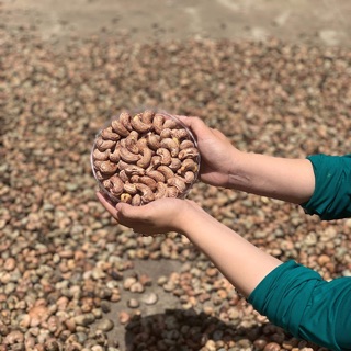 500gram hạt điều rang muối