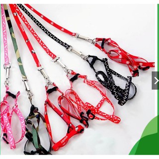 Dây dắt kèm đai yếm cho chó mèo THÚ CƯNG MỎNG