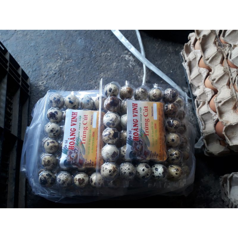 Trứng Cút Tươi - 30 trứng/set
