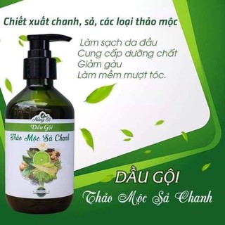Dầu gội thảo mộc chanh xã