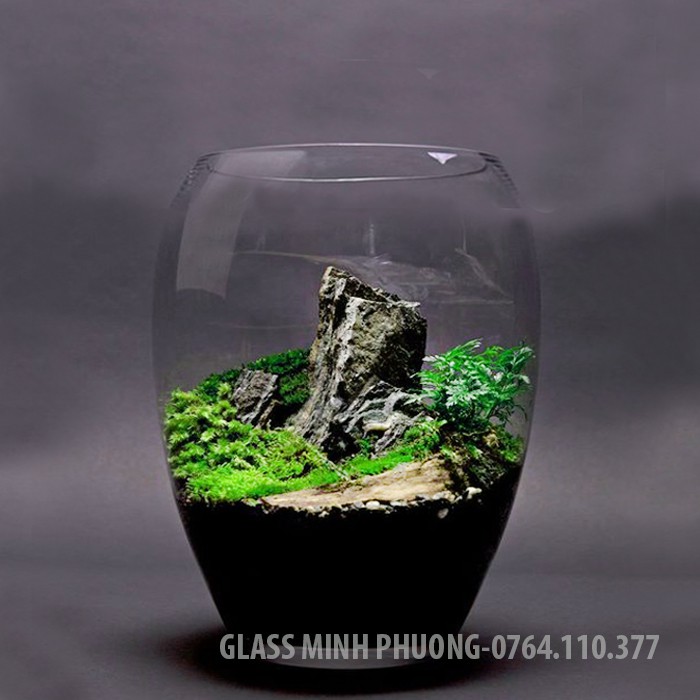 Hồ cá mini thủy tinh để bàn, chậu thủy tinh trồng cây thủy sinh mẫu D02