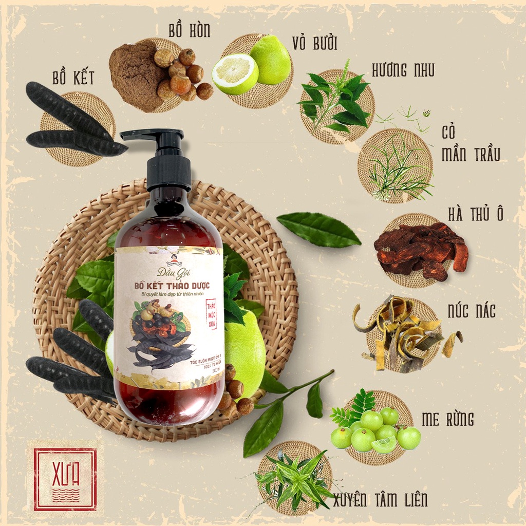 Dầu Gội Thảo Dược Thảo Mộc Xưa 500 ML