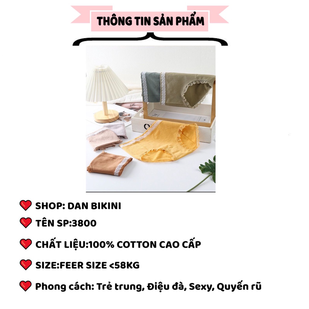 Quần Lót Nữ Cotton ❤️FREESHIP❤️Quần lót dệt kim kháng khuẩn phối cạp chấm bi mẫu 3800