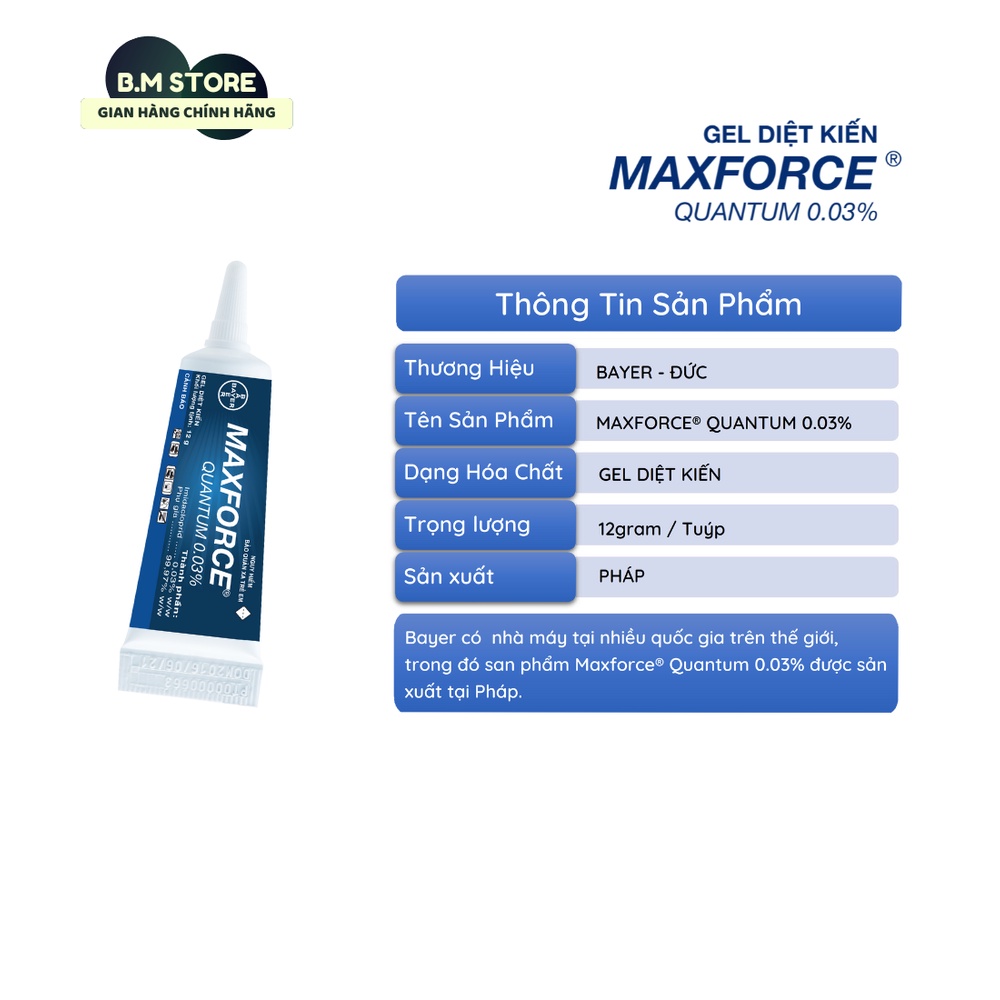 Gel Kiến Maxforce Quantum và Gel Gián Blattanex 12g Combo 2 loại