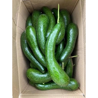 Bơ 034 -1kg Bơ 034 loại ngon