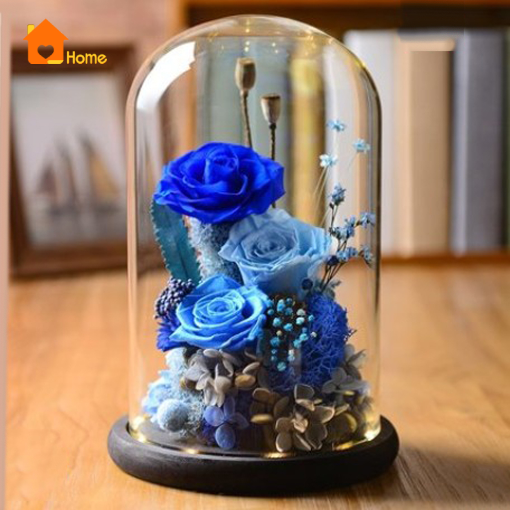 [Love_Home]Decorative Glass Cloche Bell Jar Dome with Wooden Base Display Decor_Brown A