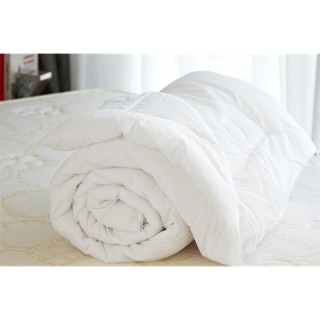 RUỘT CHĂN TRẮNG TINH KHIẾT ĐỦ LOẠI CHO KHÁCH HÀNG LỰA CHỌN