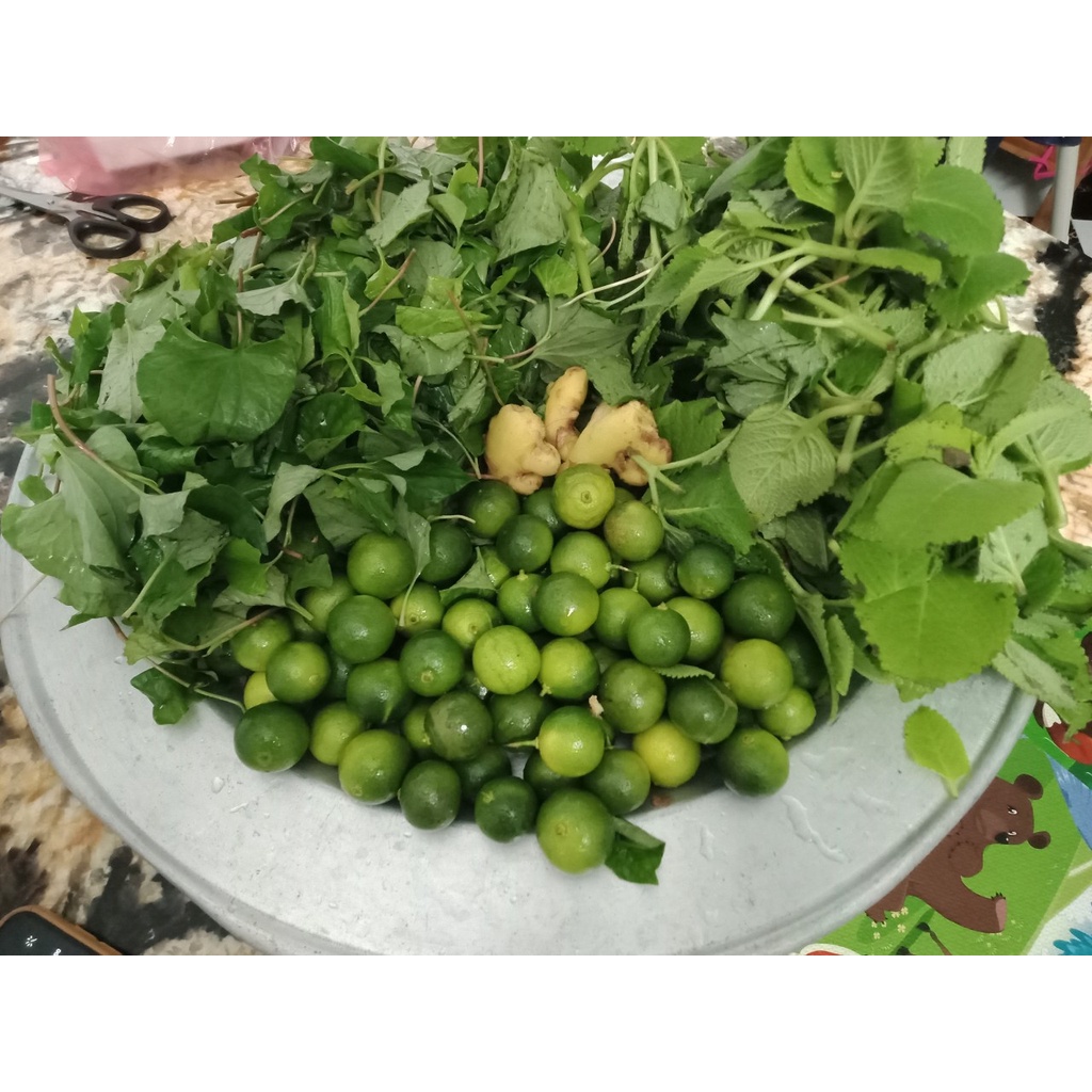 Lá húng chanh tươi, rau tần dày lá, Bán sỉ lẻ làm siro húng chanh