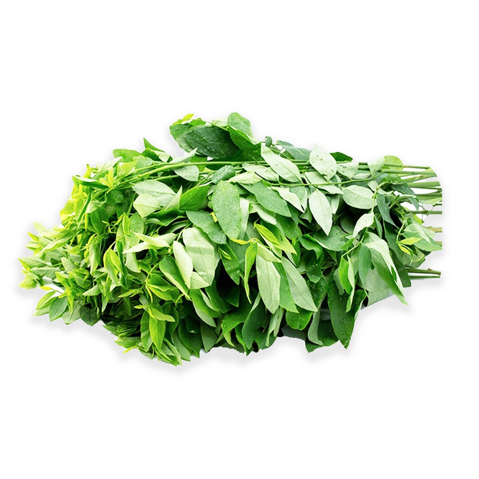 1Gr hạt giống rau ngót Rạng Đông