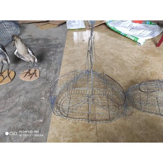 Lồng Bẫy Mào, Chòe Than, Chòe Lửa....vv....