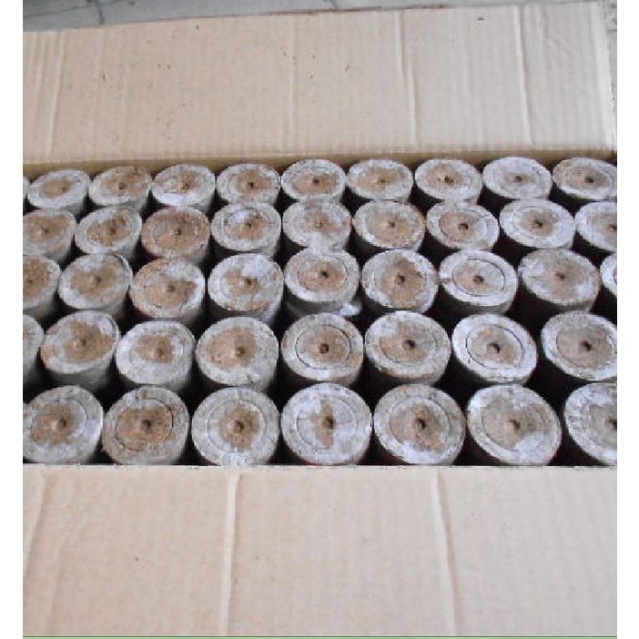 Bộ 20 viên nén sơ dừa ươm hạt giống - giâm cành KNS2