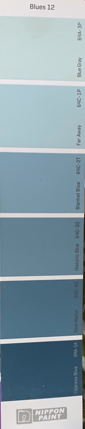 Sơn kẽm đa năng(cadin) màu xanh da trời 800ml