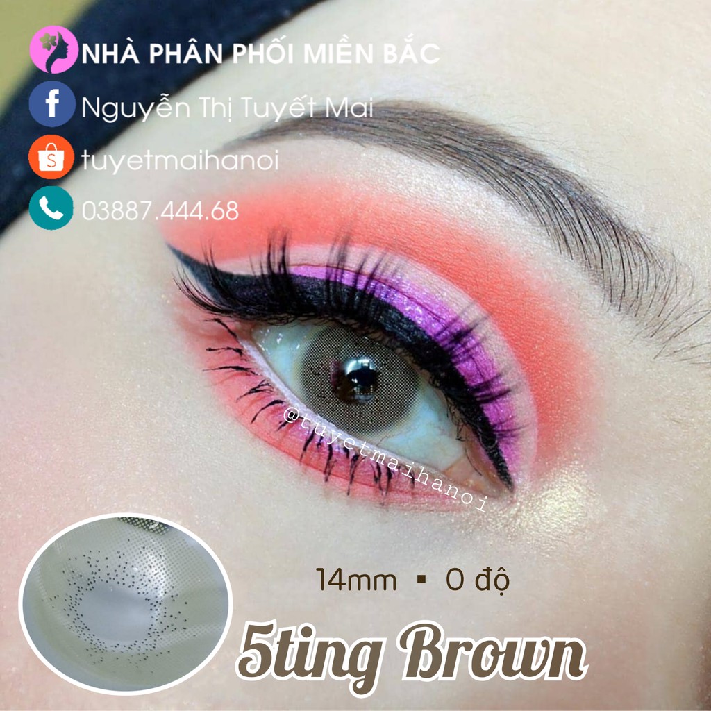 Lens Nâu Tây 5ting Brown 14mm 0 Độ - Kính Áp Tròng Hàn Quốc Chính Hãng Vassen Sexy Me