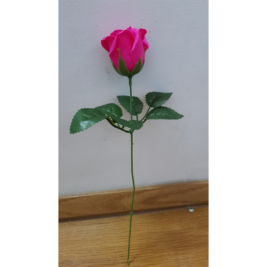 hoa hồng sáp nguyên cành có lá