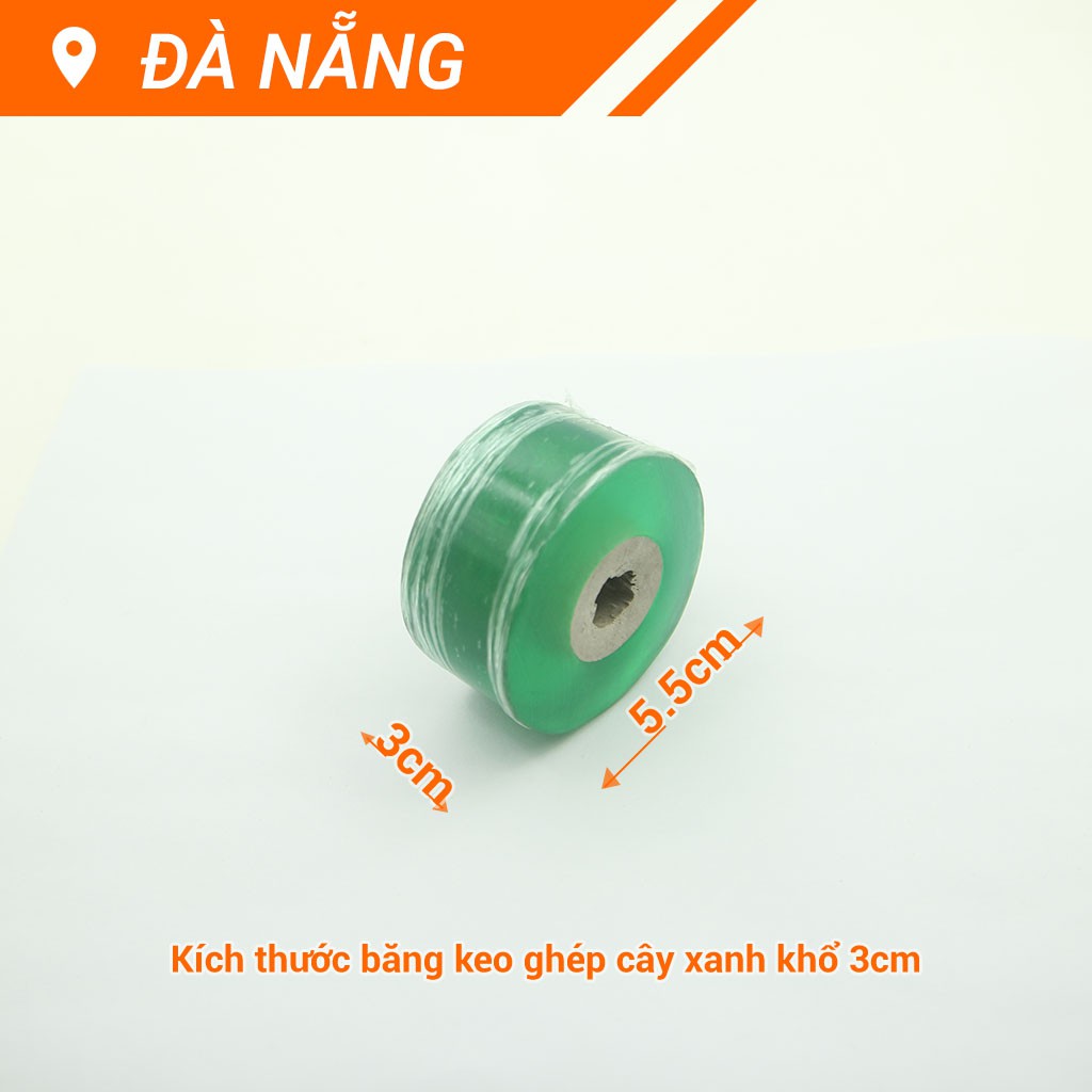 BĂNG GHÉP CÂY XANH KHỔ 3CM