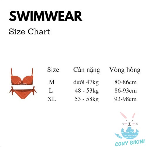 Bộ bơi đi tắm biển nữ Bikini 1 Mảnh (Set 2 Đồ Áo liên quần lót) Lovel II NAM Cony | WebRaoVat - webraovat.net.vn