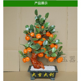 CÂY CAM ĐÁ PHONG THỦY