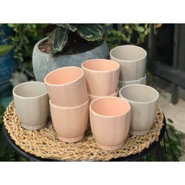 Cốc Sứ Cao Cấp Merber Màu Pastel Thích Hợp Trông Cây Cắm Hoa Trang Trí Decor