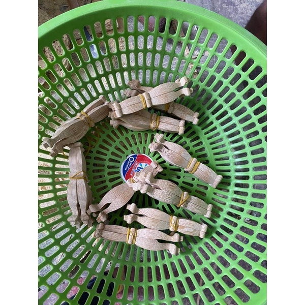 Chân lồng mào bs