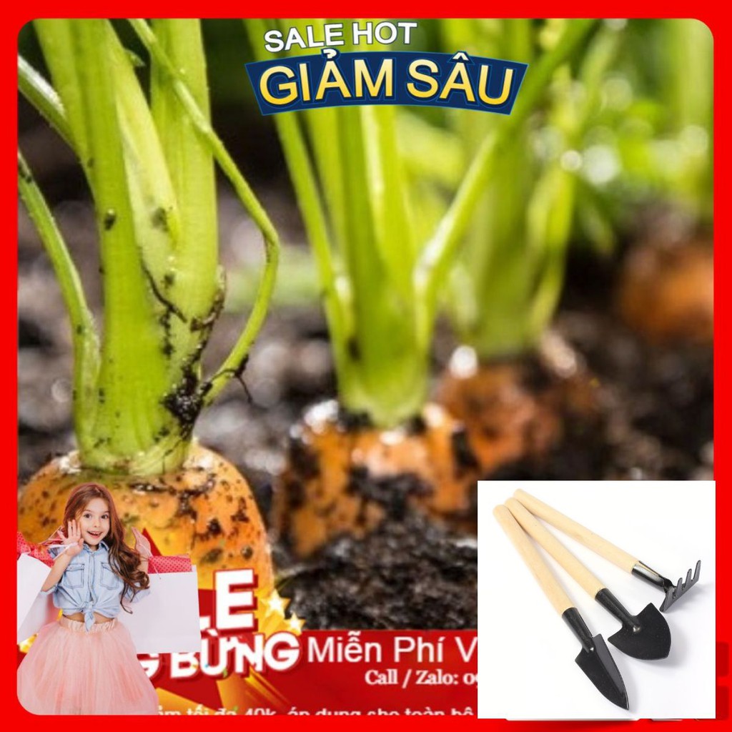 Hạt Giống Cà Rốt F1 - 100 Hạt / Gói - Tặng Kèm Bộ Dụng Cụ Trồng Cây Mini