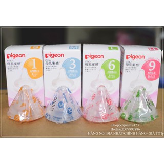 Núm ty pigeon nội địa cổ rộng s/m/l/ll