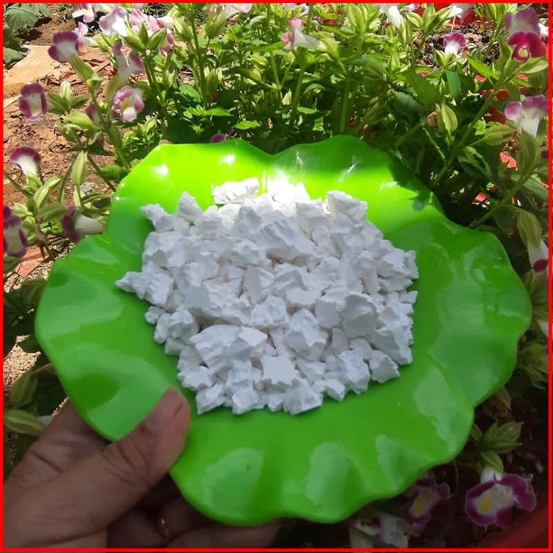 Bột sắn dây Quy Nguyên Thầy Tuệ Hải Chùa Long Hương Loại 1 Gói 500g - NMOL