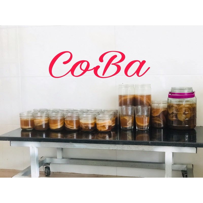 con giống kombucha/ scoby:scoby+150ml nước mồi+trà và đường nuôi