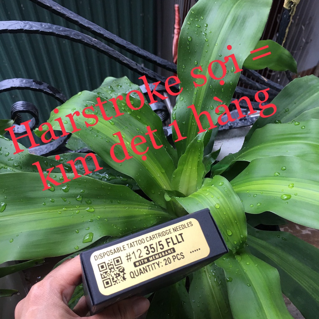 Kwadron - Kim dẹt 1 hàng 7FL - 5FL - 4FL