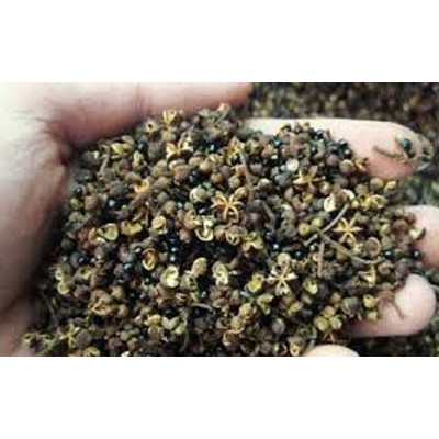 200g mắc kén