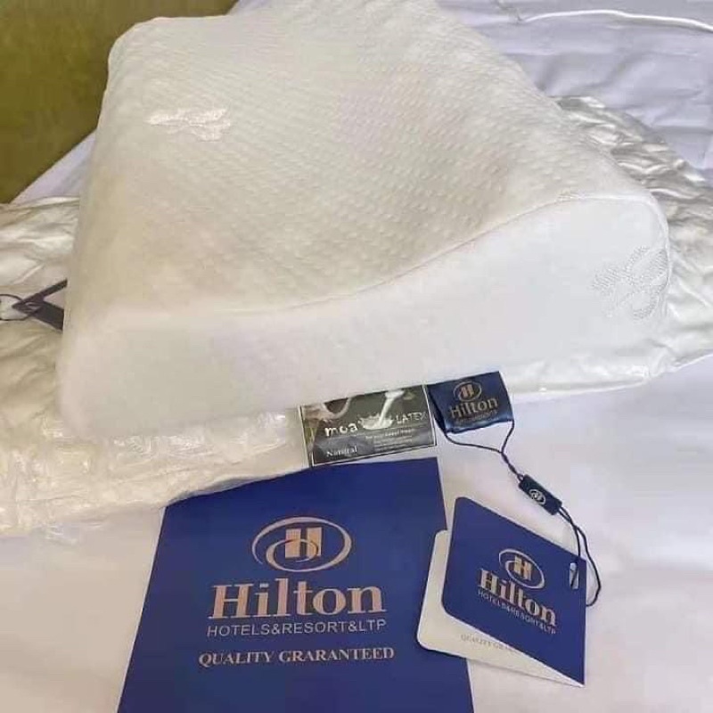 Gối cao su non Hilton loại 1
