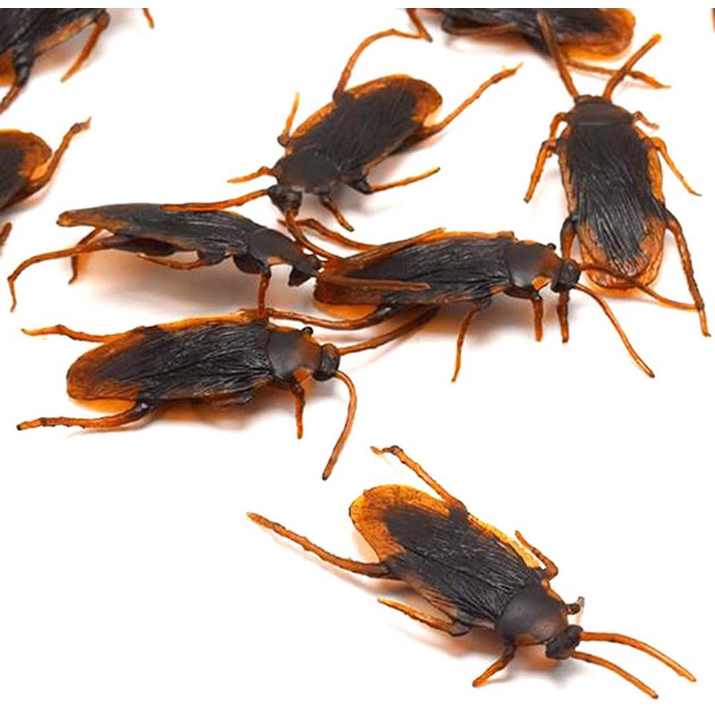 10 Con Gián Giả Bằng Cao Su