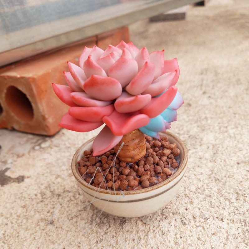 Sen thụ đất sét đẹp