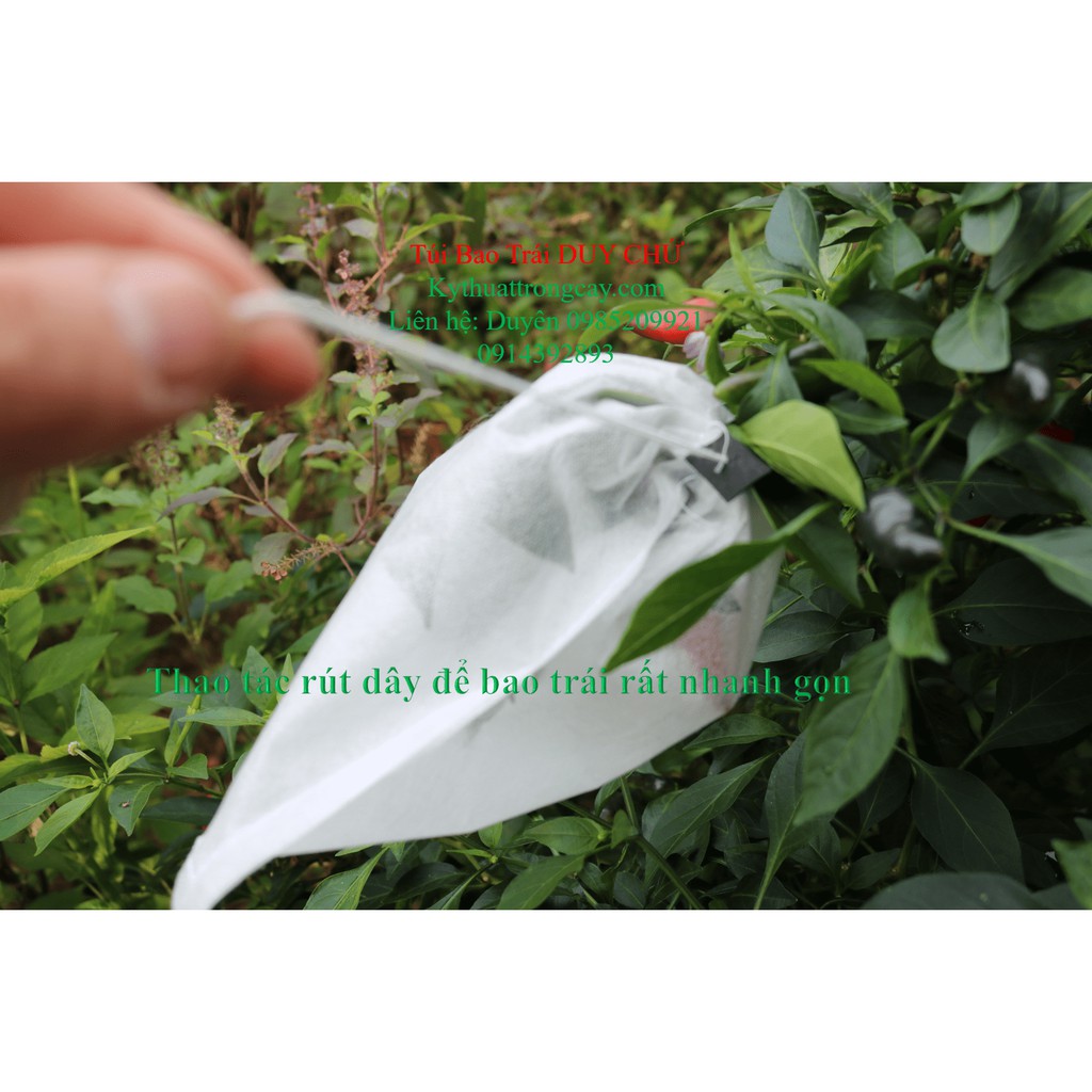 [16x19cm] Túi bao trái na, ổi, cam | túi bao trái cây DUY CHỨ | chống các loại côn trùng gây hại túi sử dụng 2-3 vụ