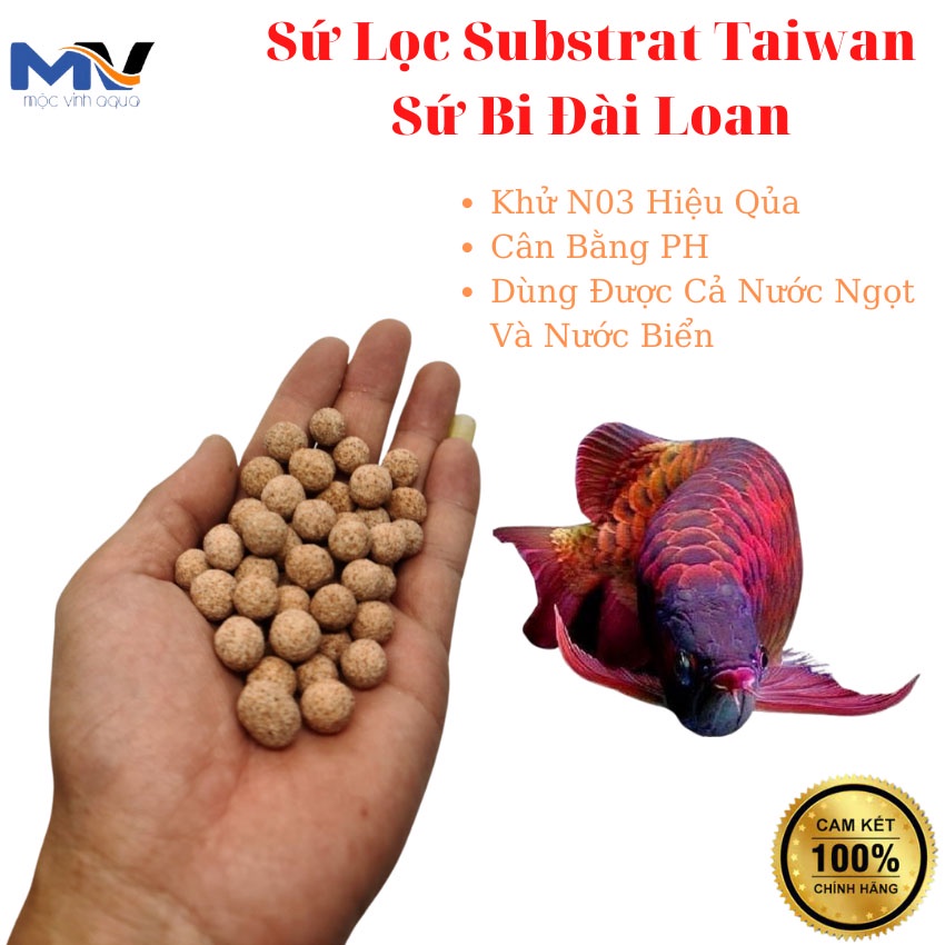 Sứ lọc nước, sứ bi đài loan cao cấp cho bể cá thủy sinh